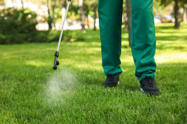 Best Local Pest Control Services  in Sandusky, OH