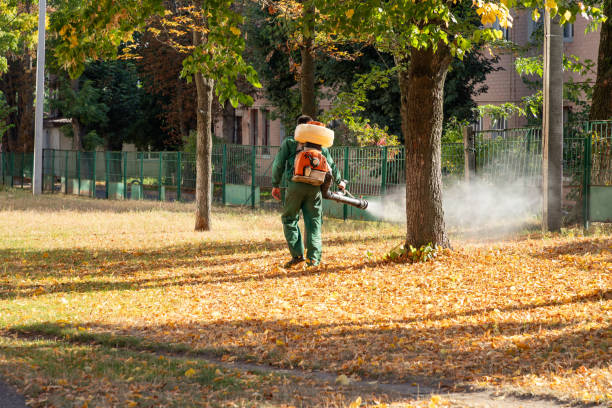 Best Wasp Removal Services  in Sandusky, OH